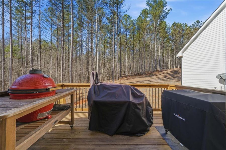 Exterior details and patio area of a home in , Dawsonville (Image 24). Exterior details and patio area of a home in , Dawsonville (Image 24).