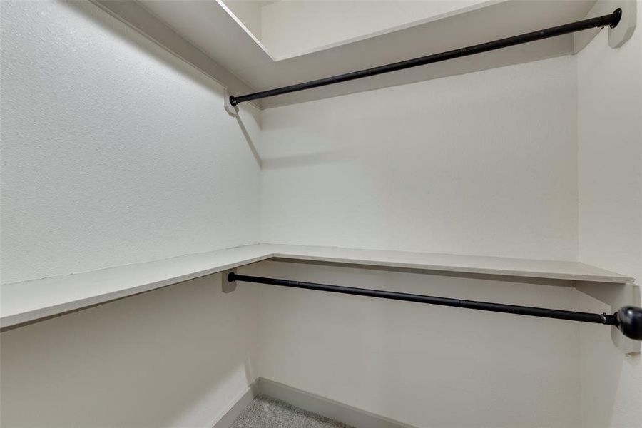 Walk in closet with carpet flooring