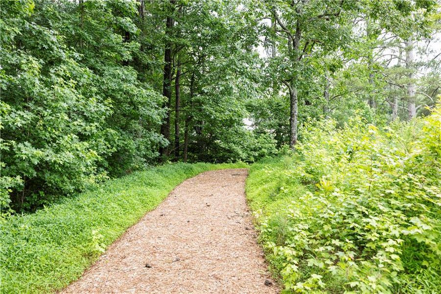 Natural landscape and outdoor views near Riverside Ridge in Lawrenceville (Image 42).