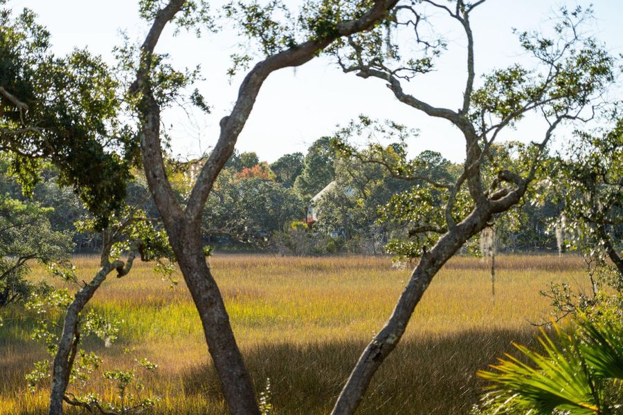 Natural landscape and outdoor views near  in Charleston (Image 27).