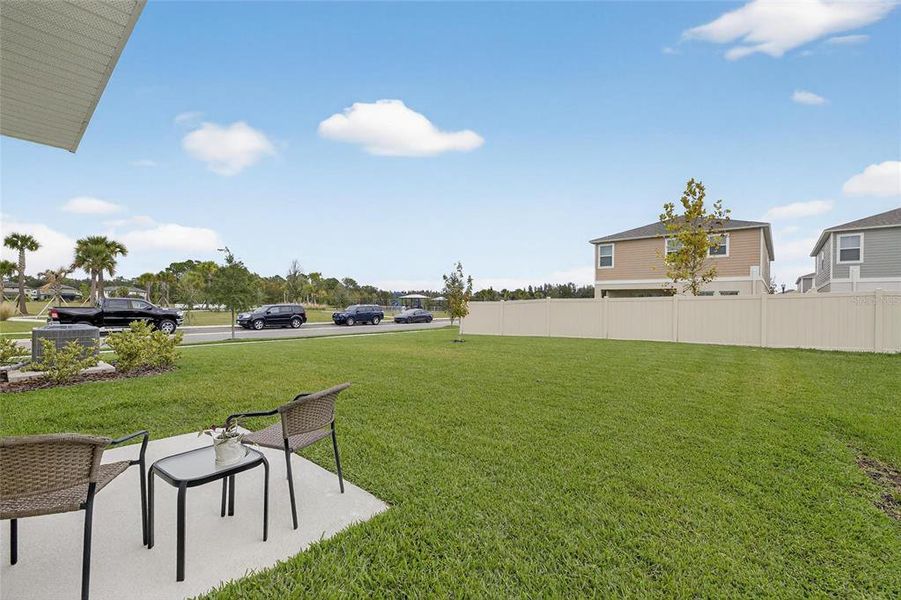 Exterior details and patio area of a home in Hawkstone, Lithia (Image 4).