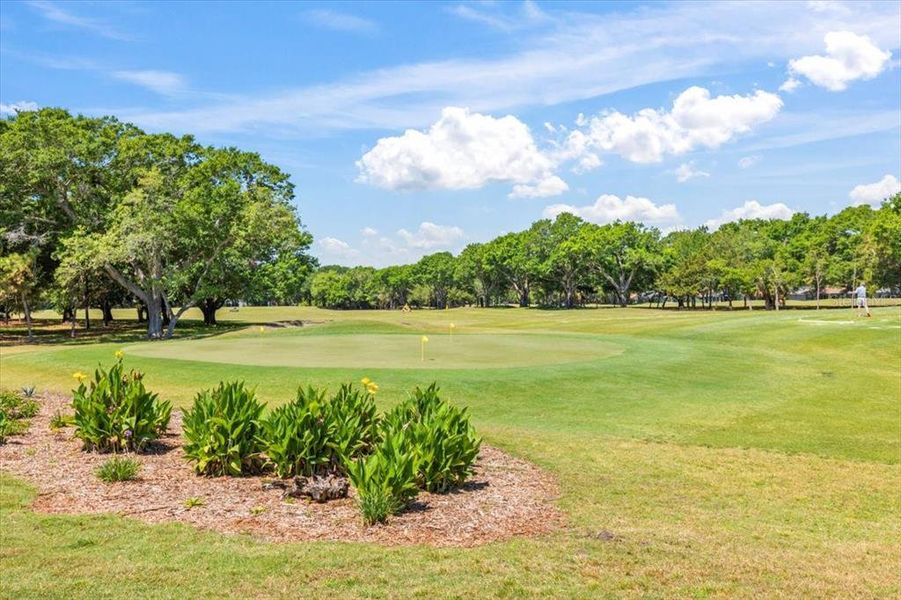 Natural landscape and outdoor views near Windchase at Halifax Plantation in Ormond Beach (Image 58). Natural landscape and outdoor views near Windchase at Halifax Plantation in Ormond Beach (Image 58).
