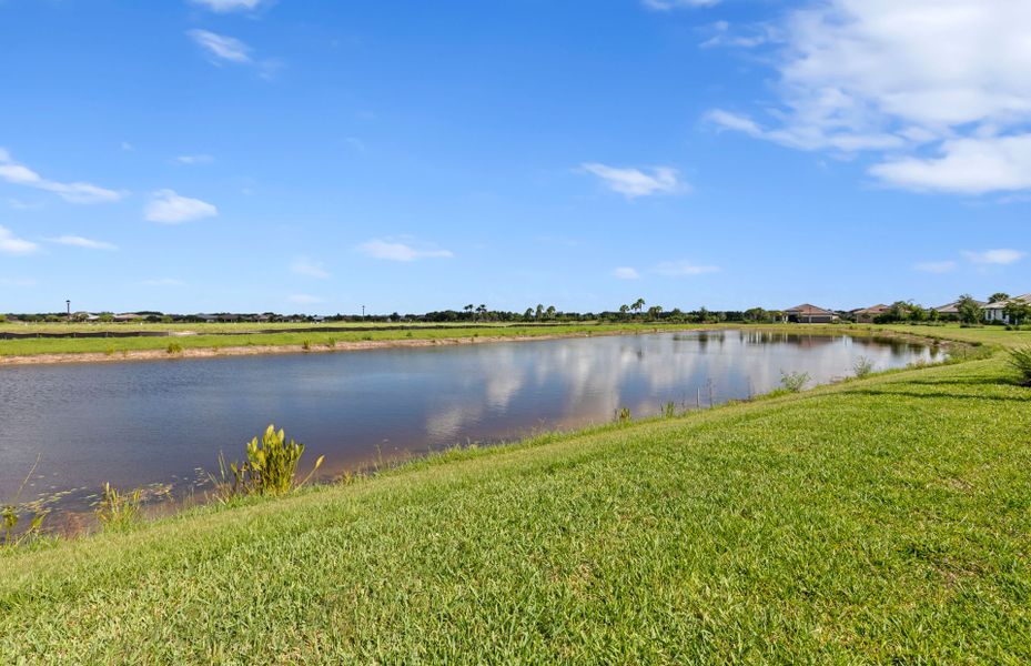 Natural landscape and outdoor views near Del Webb Naples in Immokalee (Image 39).