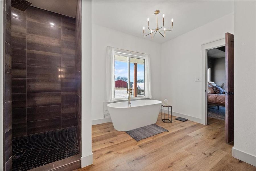 Furnished interior view inside a new home in , Collinsville (Image 28).