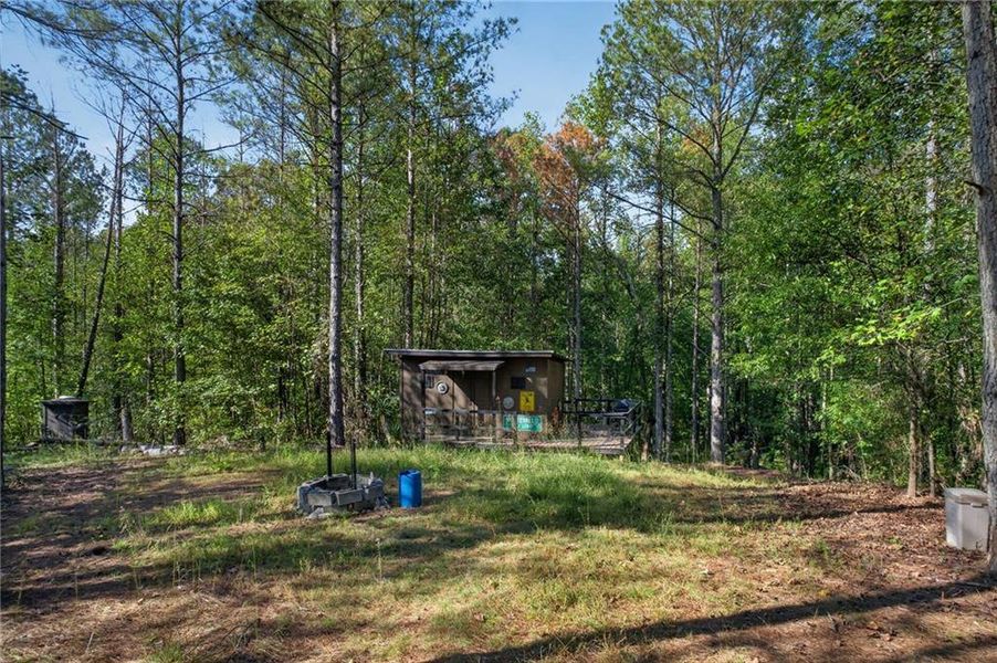 Natural landscape and outdoor views near  in Rockmart (Image 39).
