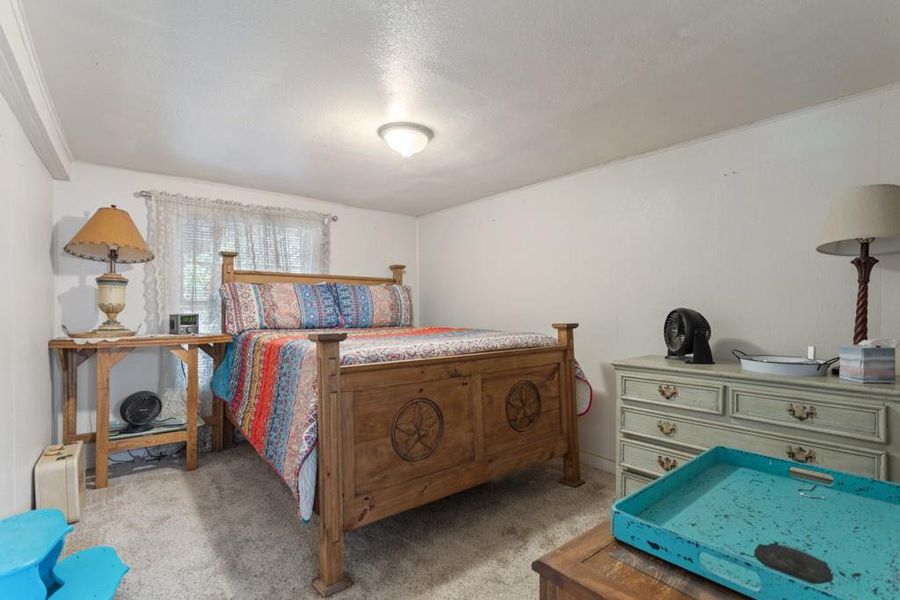 Bedroom with carpet