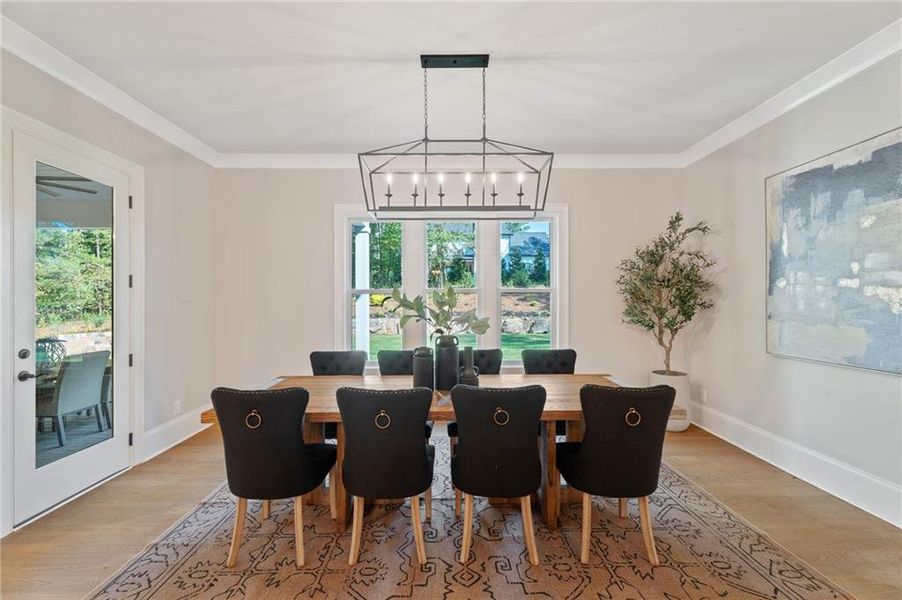 Furnished interior view inside a new home in , Milton (Image 14).