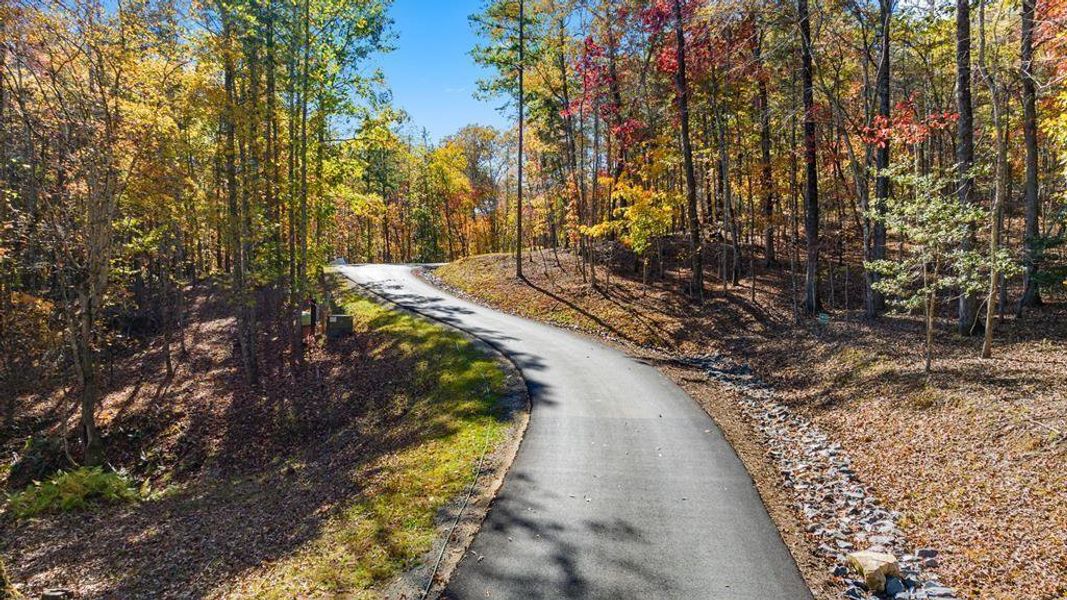 Natural landscape and outdoor views near  in Blue Ridge (Image 17).