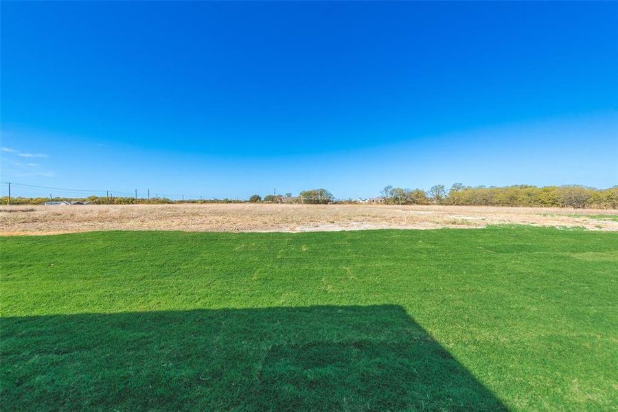 Expansive green lawn extending to a natural landscape with distant trees