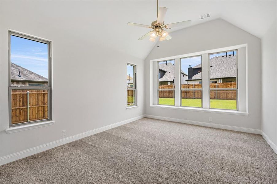 Unfurnished room featuring carpet, healthy amount of natural light, lofted ceiling, and a ceiling fan
