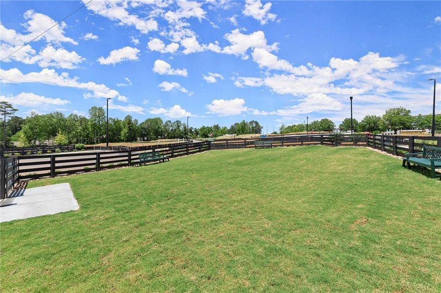 Natural landscape and outdoor views near  in Alpharetta (Image 32).