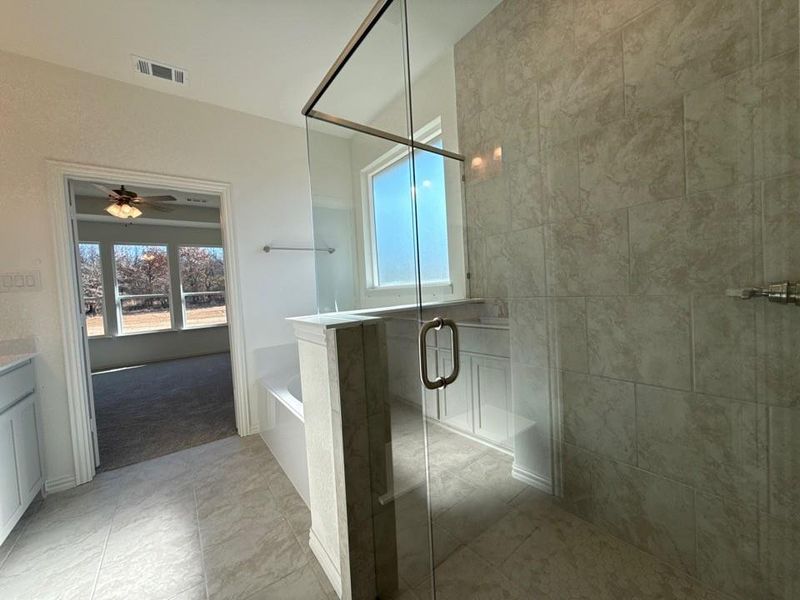 Full bath featuring vanity, a bath, a shower stall, and ceiling fan