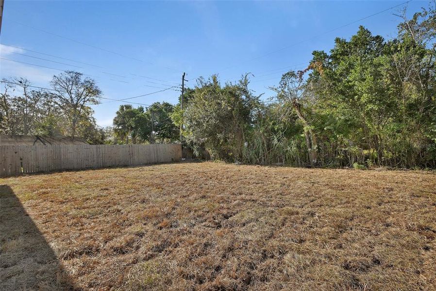 Natural landscape and outdoor views near in Daytona Beach (Image 27). Natural landscape and outdoor views near in Daytona Beach (Image 27).