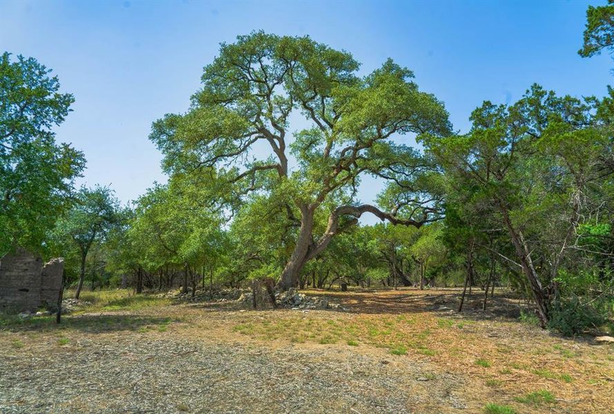 Natural landscape and outdoor views near in Austin (Image 9). Natural landscape and outdoor views near in Austin (Image 9).