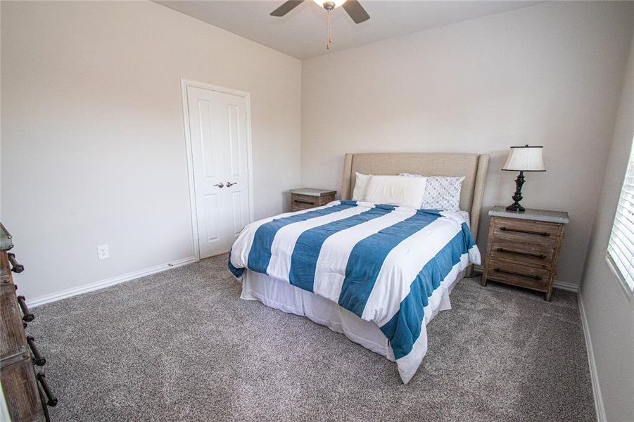 Bedroom featuring carpet and a ceiling fan Bedroom featuring carpet and a ceiling fan
