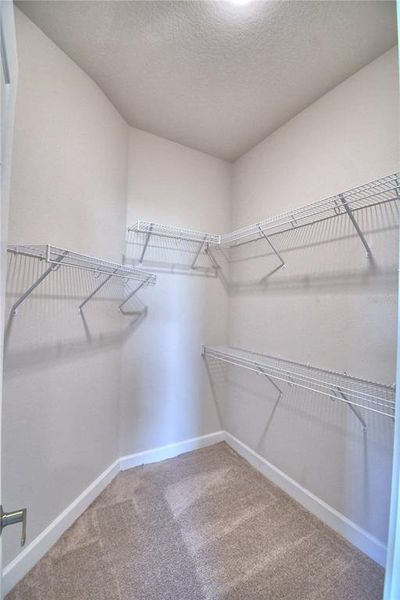 Spacious, unfurnished interior of a new home in , Auburndale (Image 27).