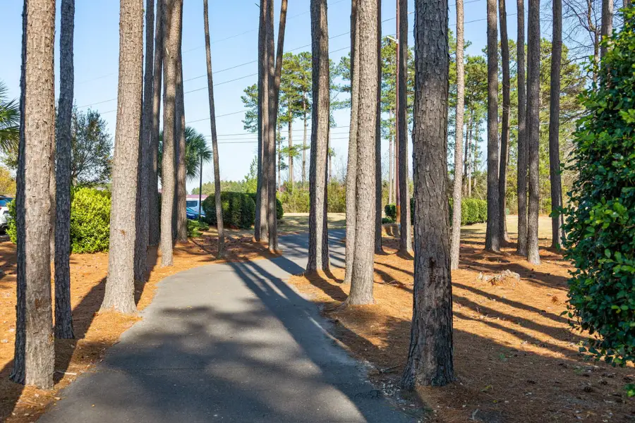 Natural landscape and outdoor views near  in Summerville (Image 50).