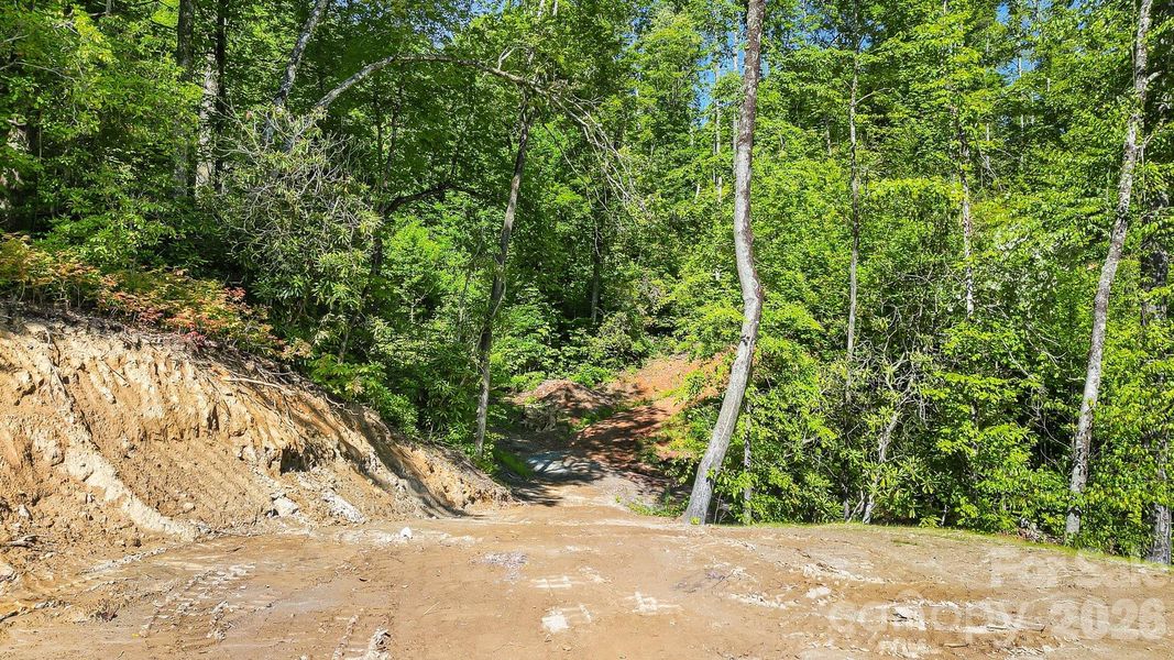 Natural landscape and outdoor views near  in Lake Toxaway (Image 18).