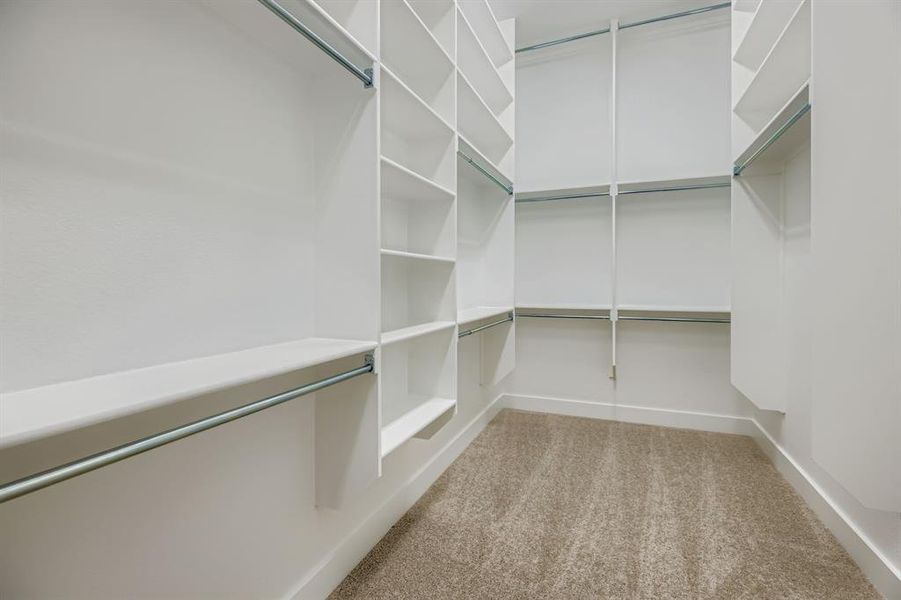 Spacious closet with carpet