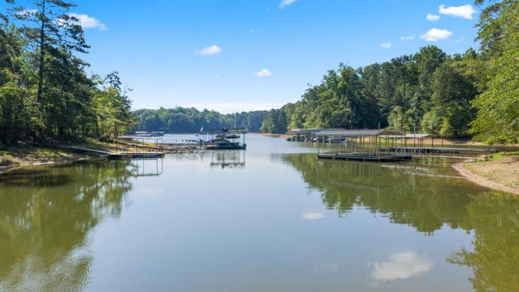Natural landscape and outdoor views near Grandview at Lanier in Dawsonville (Image 35).