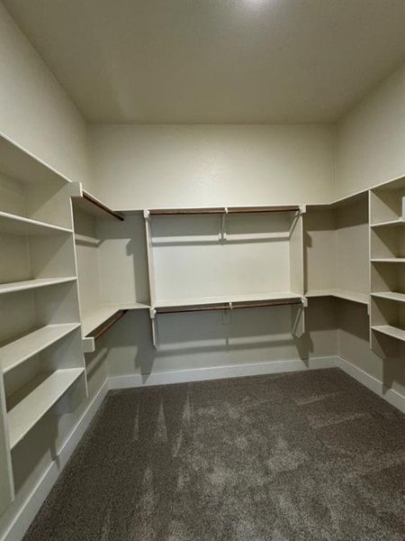 Walk in closet featuring carpet floors