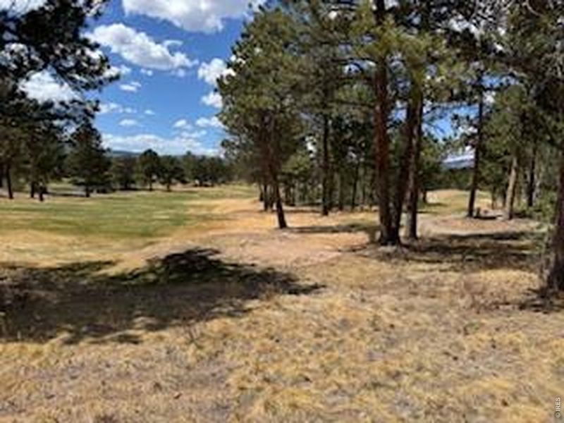 Natural landscape and outdoor views near  in Red Feather Lakes (Image 13).