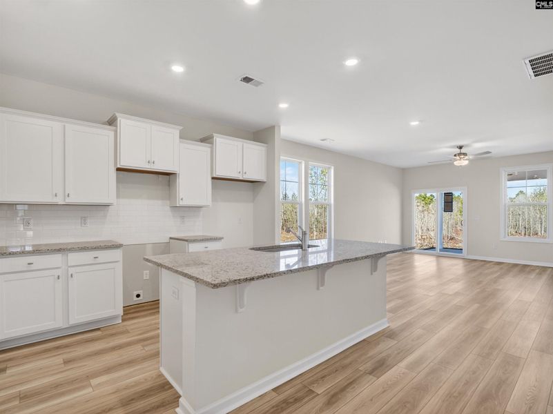 Furnished interior view inside a new home in Old Charleston Acres, Pelion (Image 5).