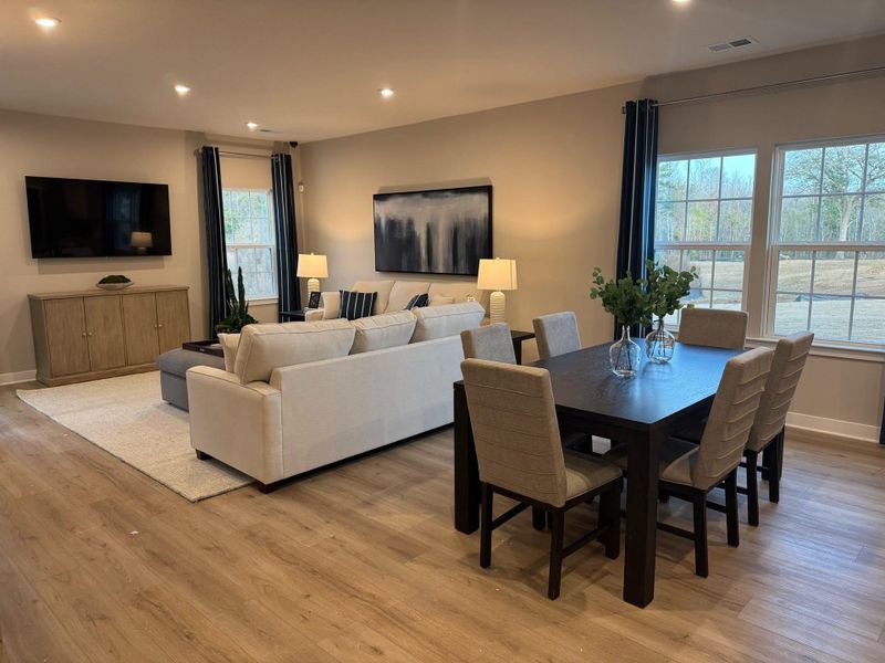 Furnished interior view inside a new home in Cainhoy Preserve, Huger (Image 8).