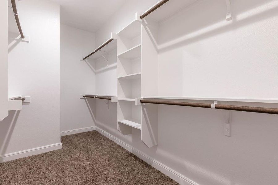 Spacious closet featuring dark carpet Spacious closet featuring dark carpet