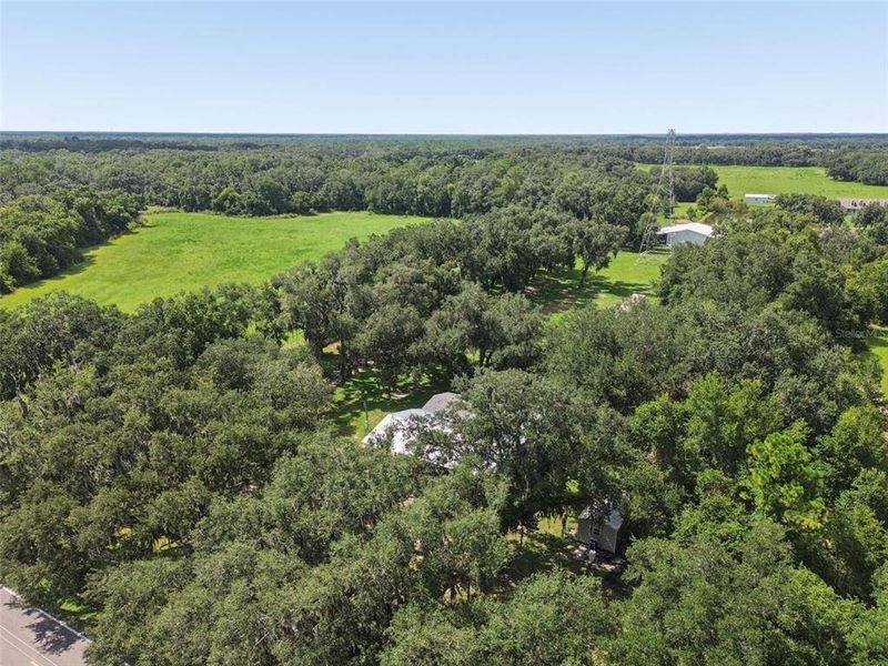 Natural landscape and outdoor views near in Plant City (Image 45). Natural landscape and outdoor views near in Plant City (Image 45).