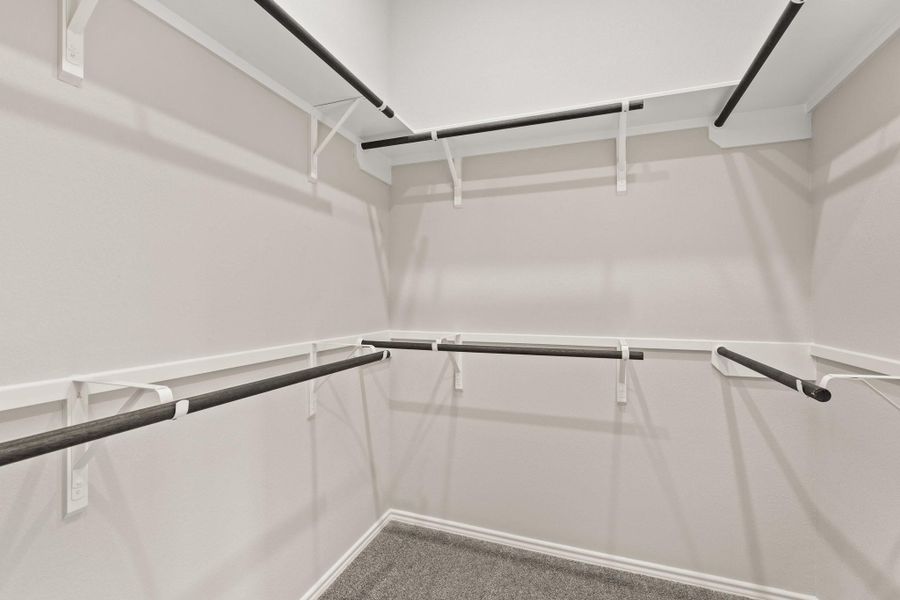 Representative Photo