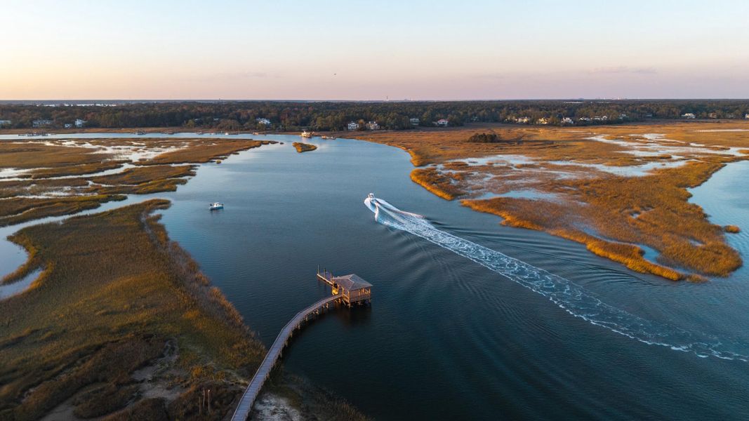 Natural landscape and outdoor views near  in Charleston (Image 60).