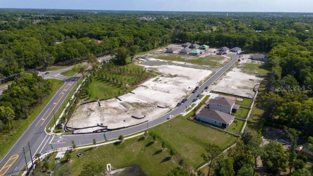 Site preparation for new homesites in Andover Ridge, Deland (Image 24).