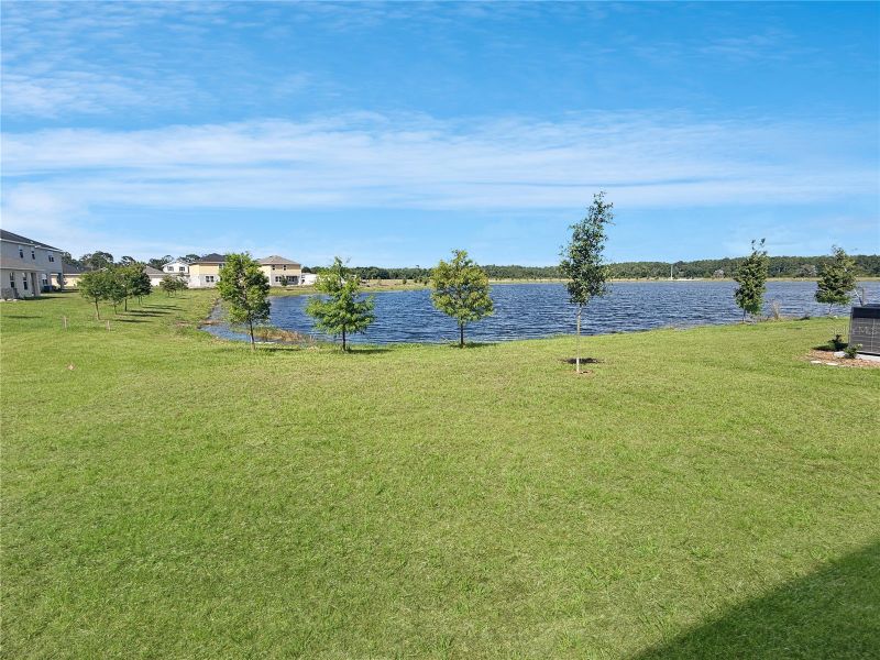 Natural landscape and outdoor views near Harmony Central in Harmony (Image 15).