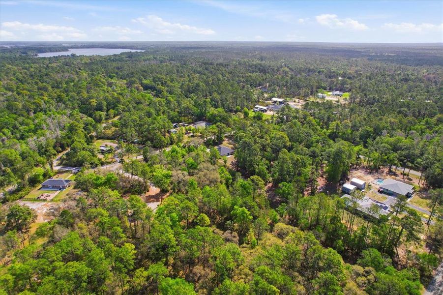 Natural landscape and outdoor views near  in Crystal River (Image 41).