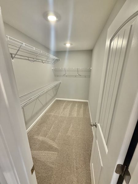 Spacious, unfurnished interior of a new home in Stone Fort Meadows, Manchester (Image 6). Spacious, unfurnished interior of a new home in Stone Fort Meadows, Manchester (Image 6).