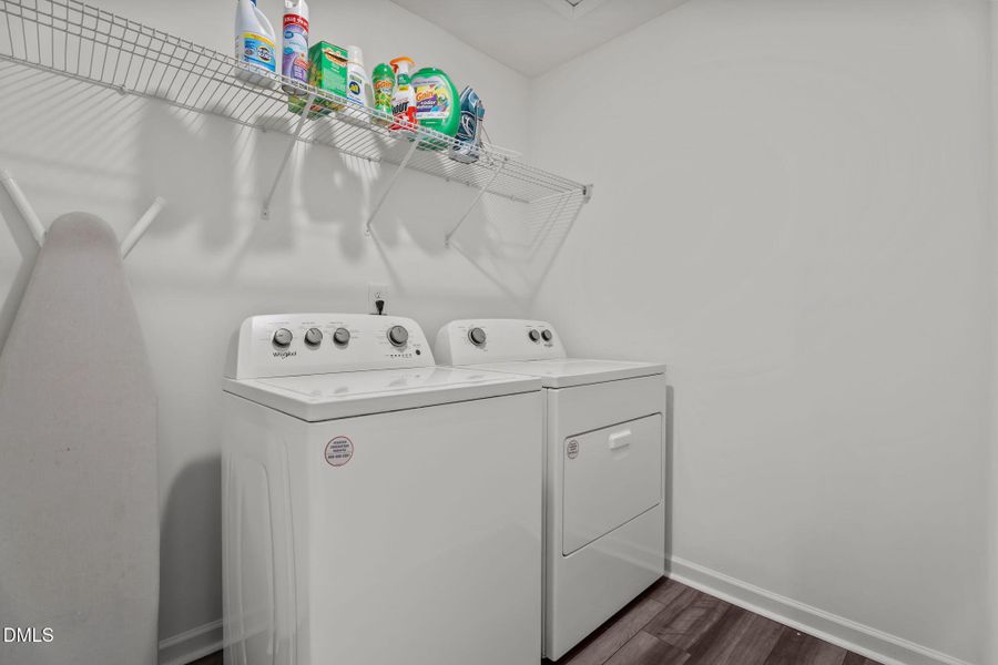 39-web-or-mls-DSC02262