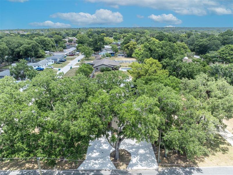 Natural landscape and outdoor views near in Eustis (Image 34). Natural landscape and outdoor views near in Eustis (Image 34).