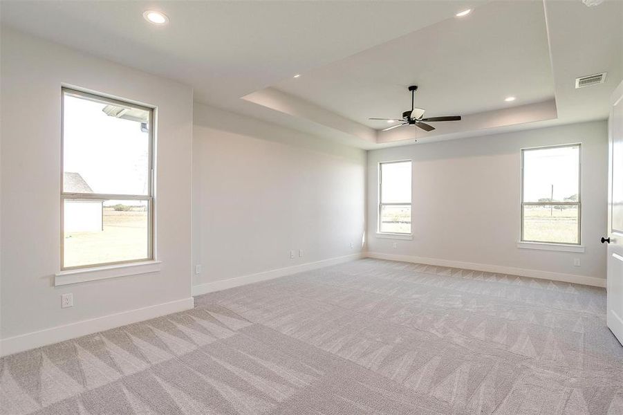 Carpeted spare room featuring a raised ceiling and ceiling fan