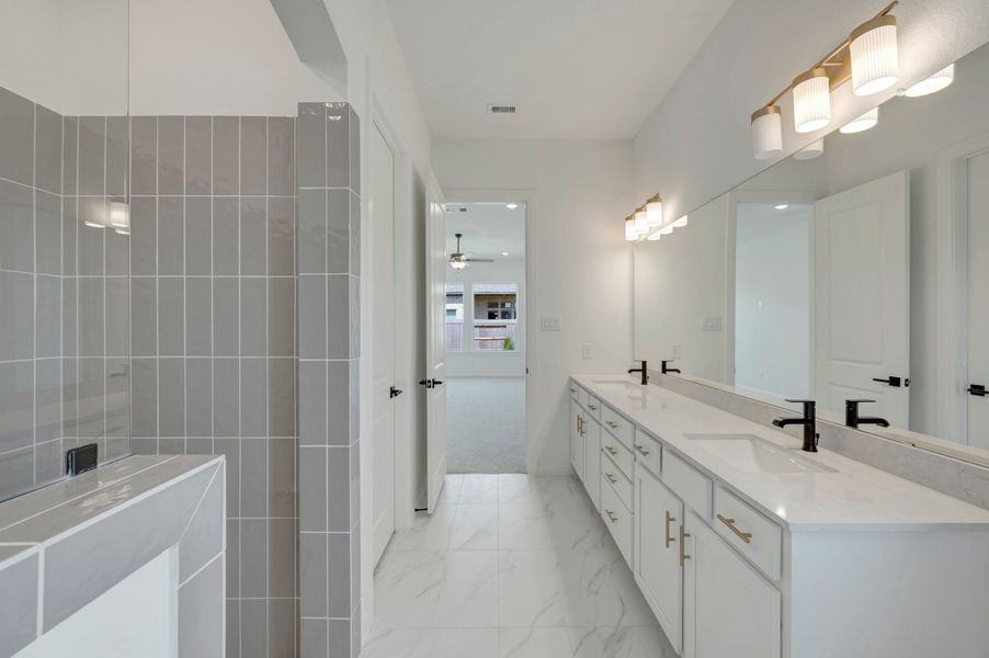 Owner's Bath