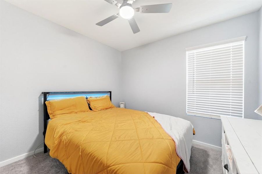 Carpeted room featuring a ceiling fan with light, a window with horizontal blinds, and light-toned wall paint