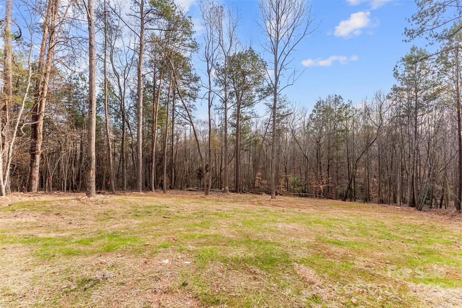 Natural landscape and outdoor views near  in Shelby (Image 43).