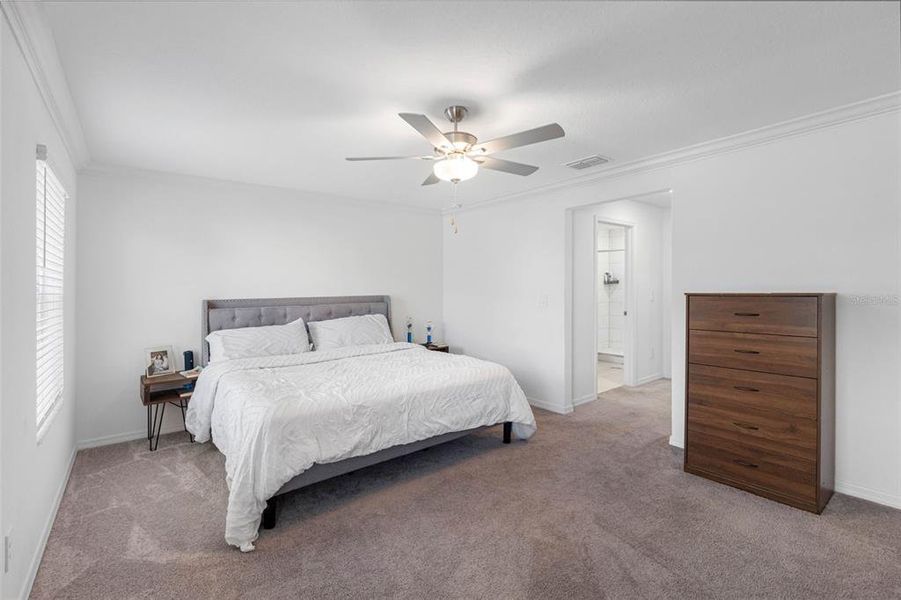 Furnished interior view inside a new home in , Zephyrhills (Image 33).