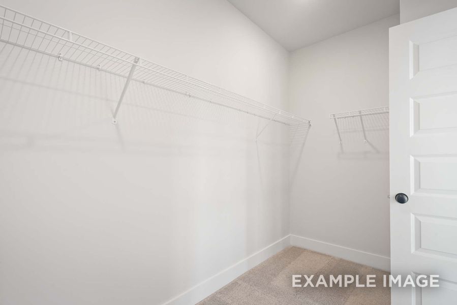 Spacious, unfurnished interior of a new home in Woods Crossing, Gallatin (Image 25).