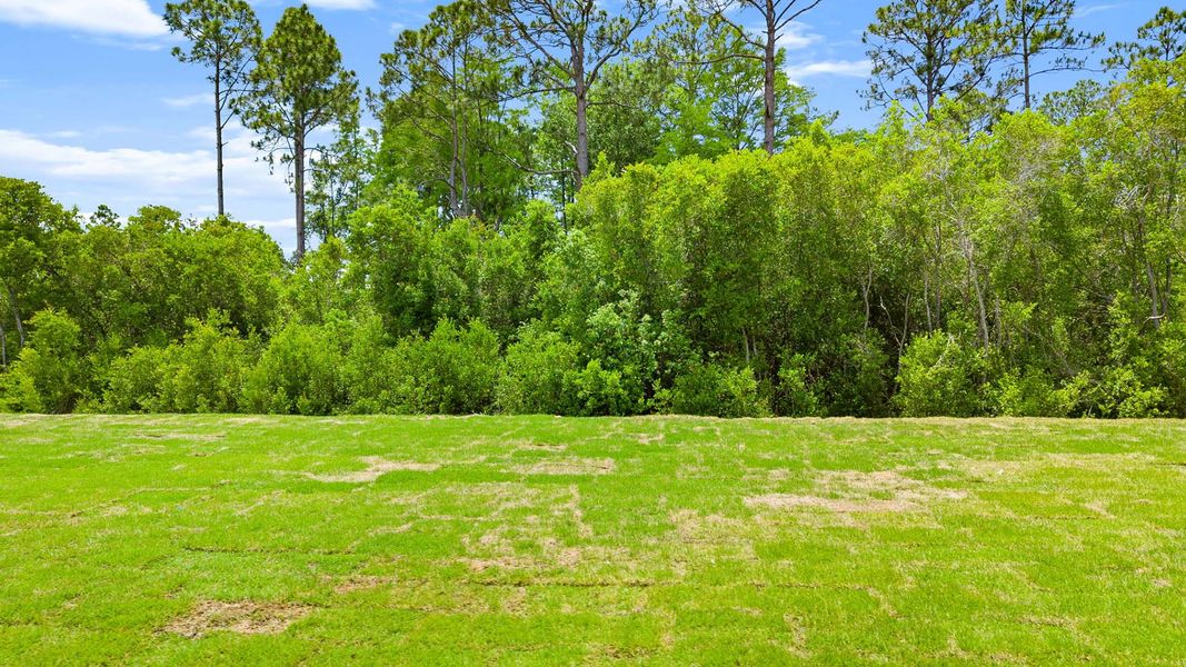 Natural landscape and outdoor views near Breakfast Point East Phase II in Panama City Beach (Image 35). Natural landscape and outdoor views near Breakfast Point East Phase II in Panama City Beach (Image 35).