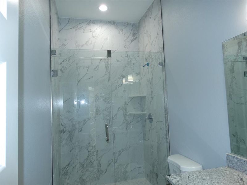 Modern Glass Shower Door