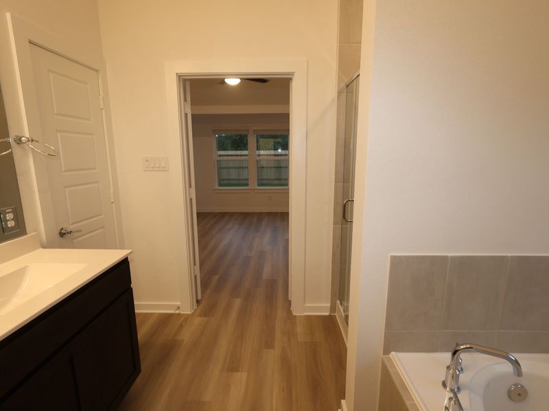 Owner's Bathroom