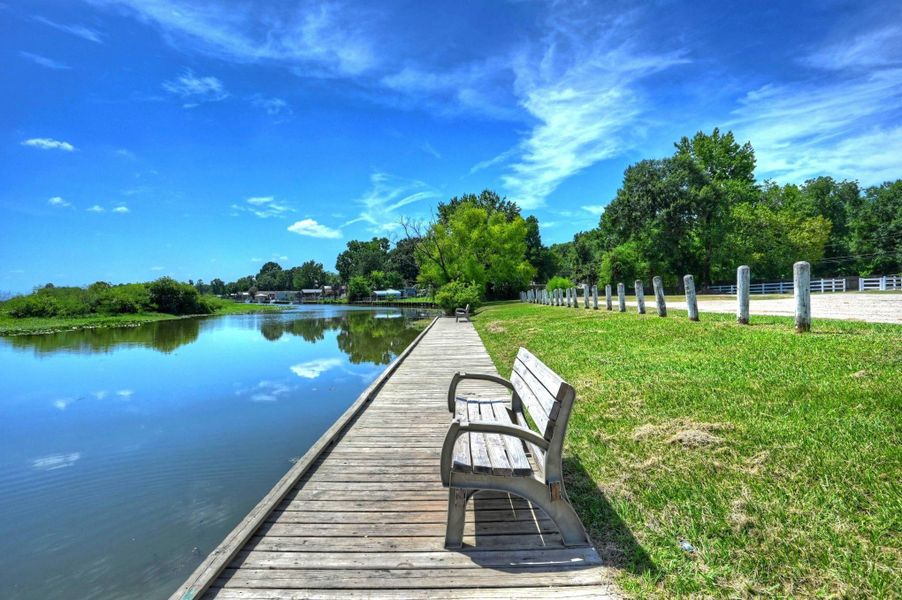 Natural landscape and outdoor views near  in Willis (Image 28).