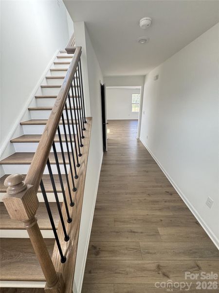 Spacious, unfurnished interior of a new home in Oxford Glen, Claremont (Image 11).