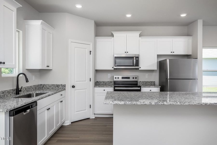 Southeast_Birch_L_012